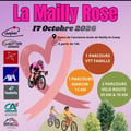 17102026 la mailly rose